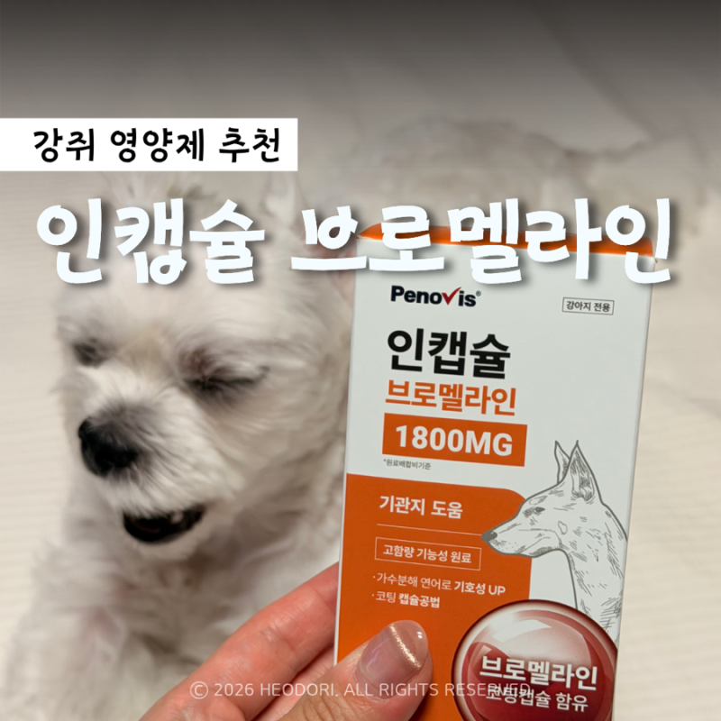페노비스 인캡슐 브로멜라인 : 강아지 기관지영양제 추천 (켁켁거림 완화)