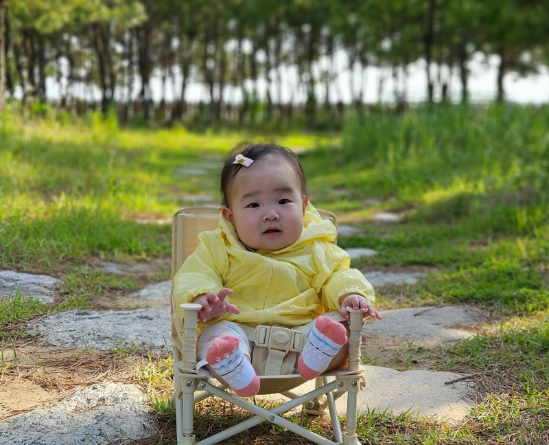 휴대용 아기의자 TOP5 비교｜이유부스터 포함, 가격·장단점·외출용 선택