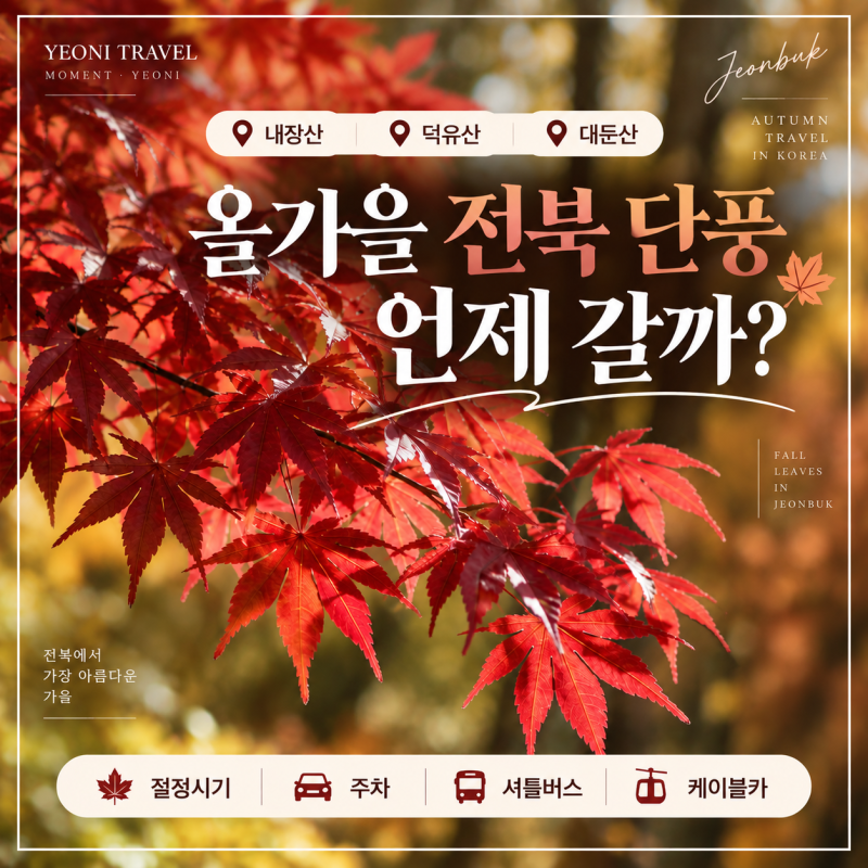 2026 전북 근교 단풍 절정시기, 내장산 덕유산 대둔산 주차 정보