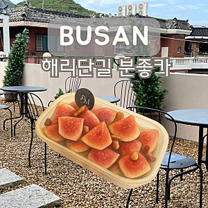 부산 해운대 해리단길 카페 분좋카 금송덕미 디저트 티라미수 치즈케이크