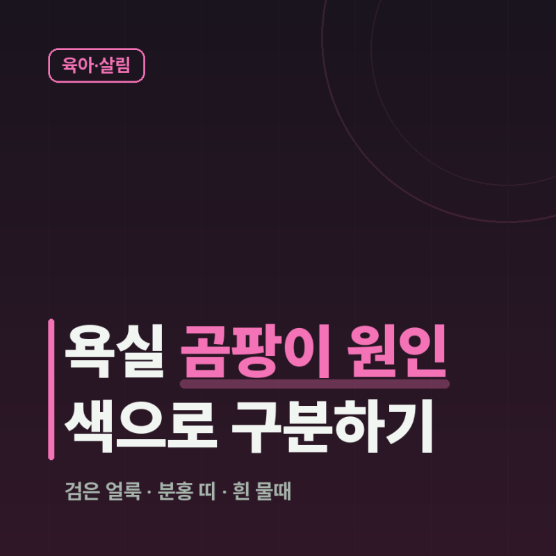 욕실 곰팡이 원인, 검은 얼룩·분홍 띠·흰 가루부터 구분하세요