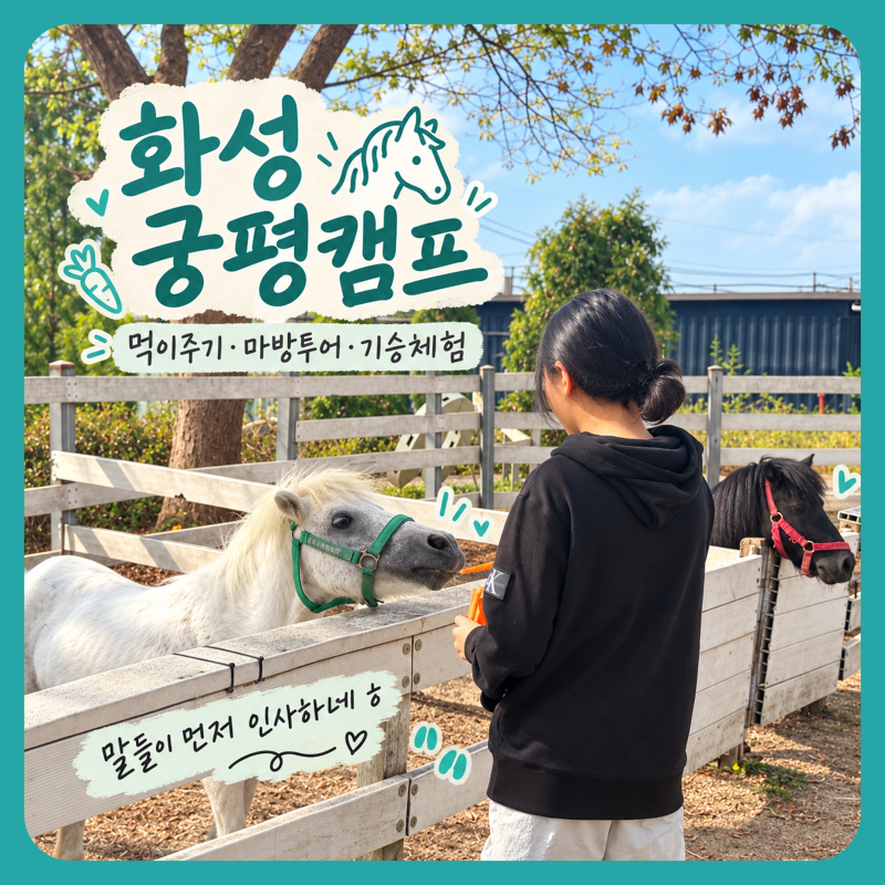 화성 아이와 가볼만한곳 궁평캠프 경기바다 어린이 승마체험