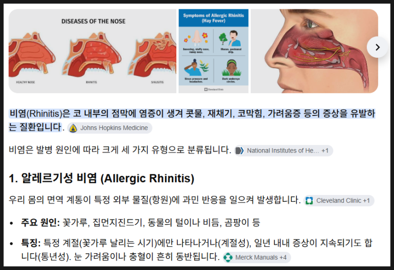 환절기 불청객 '비염', 영어로는?