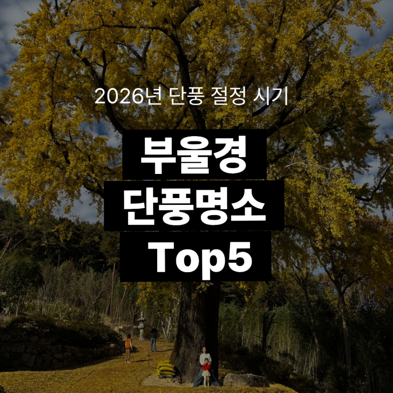 2026 부산 울산 경남 단풍 명소 TOP5 | 단풍 절정 시기부터 주차 정보까지 총정리