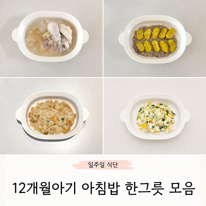 12개월 아기 아침밥 한그릇 메뉴 유아식 모음집 5가지 레시피 소개