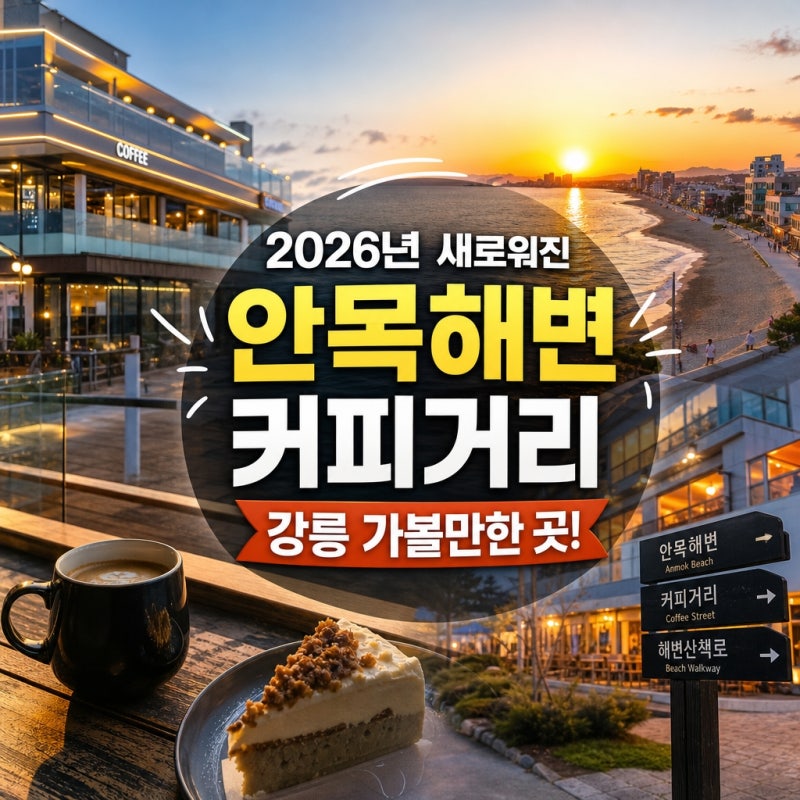 2026년 새롭게 바뀐 안목해변 커피거리 강릉 가볼만한 곳 지도