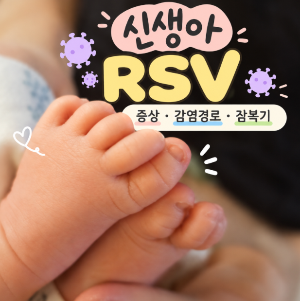 신생아 RSV 증상 감기와 다를까? 감염경로 잠복기 예방방법