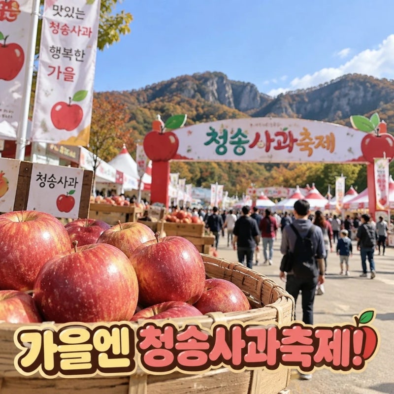 청송 사과축제 가기 전 알아둘 방문 팁