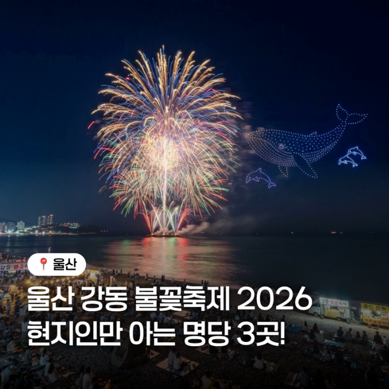 울산 강동 불꽃축제 현지인만 아는 명당 3곳! 울산 불꽃축제 2026 완벽 총정리