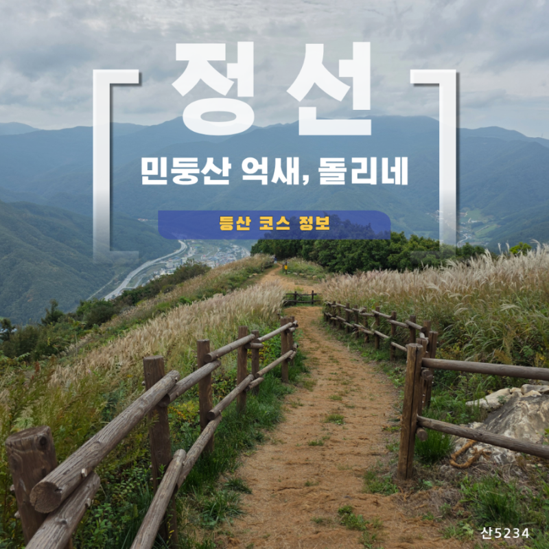 가을이면 꼭 가봐야 하는 민둥산 억새능선과 돌리네