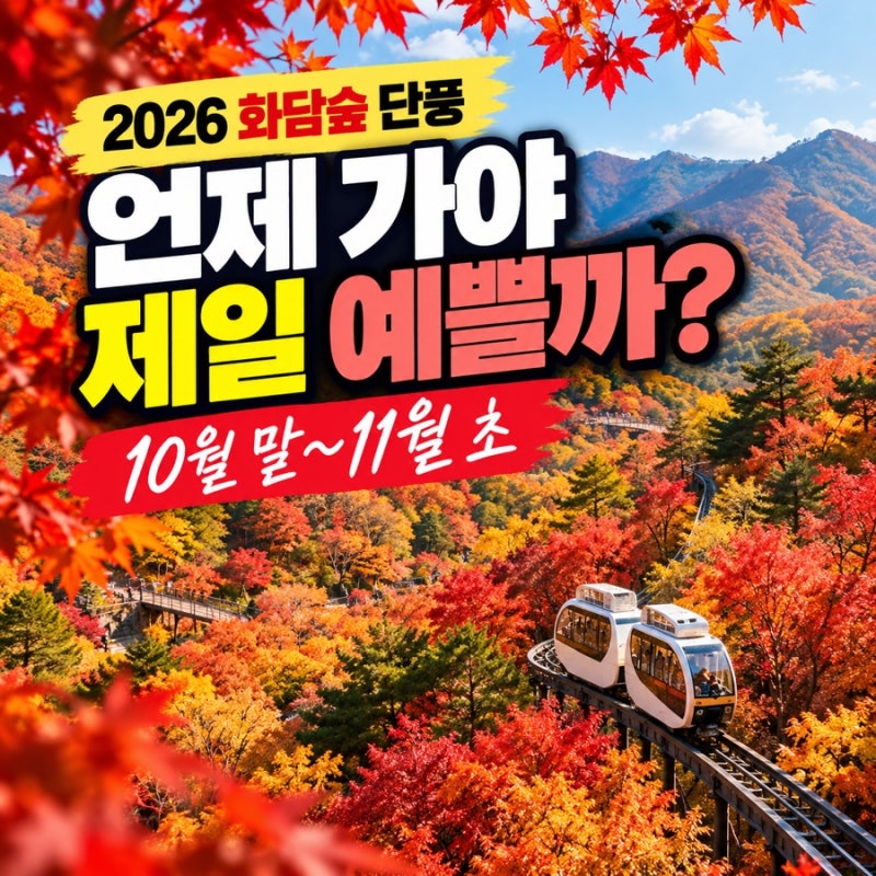2026 단풍 절정 시기 화담숲은 언제 가야 예쁠까