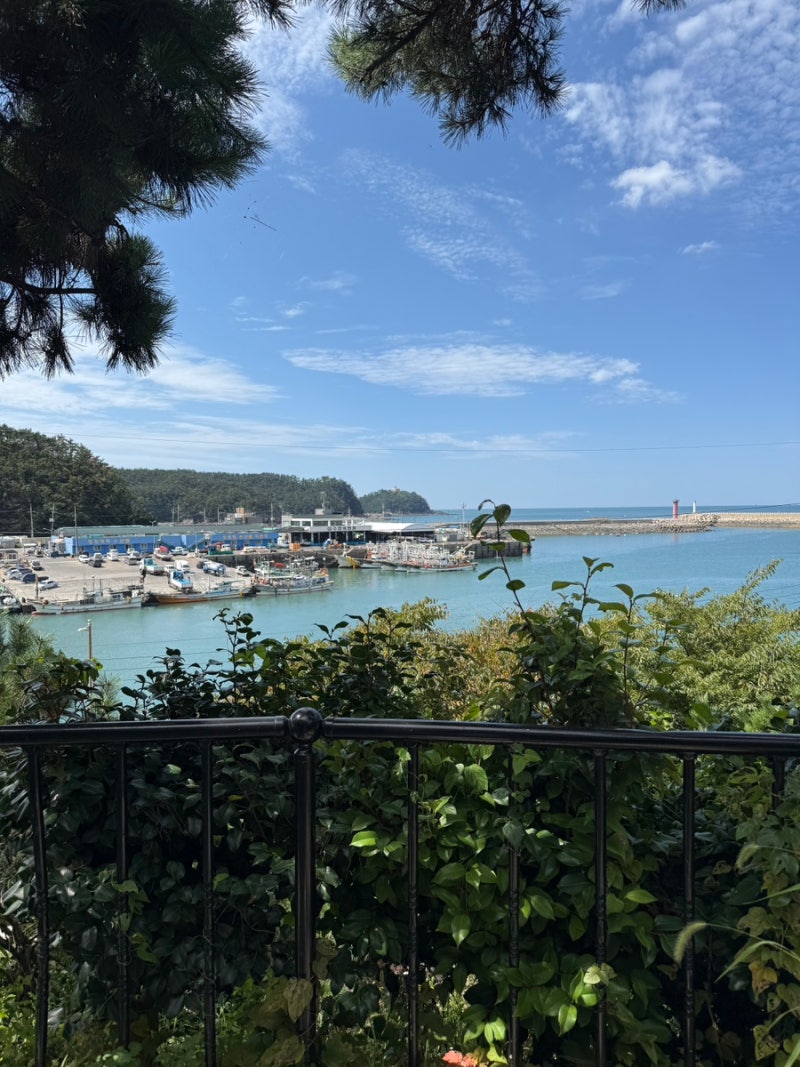 泰安オーシャンビューキャンプ場 松島オートキャンプ場 車中泊サイト