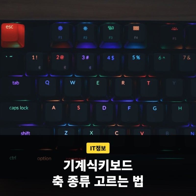 기계식키보드 축 종류 확인하고 나에게 맞는 스위치 고르는 법
