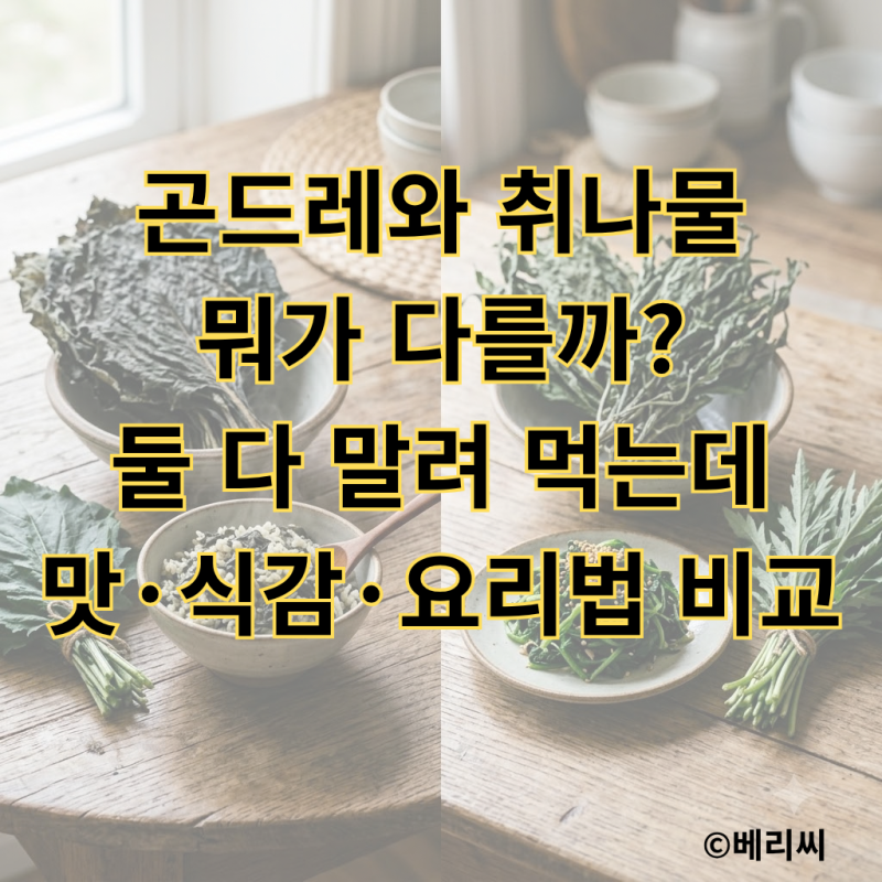 곤드레와 취나물 뭐가 다를까?｜둘 다 말려 먹는데 맛·식감·요리법 비교