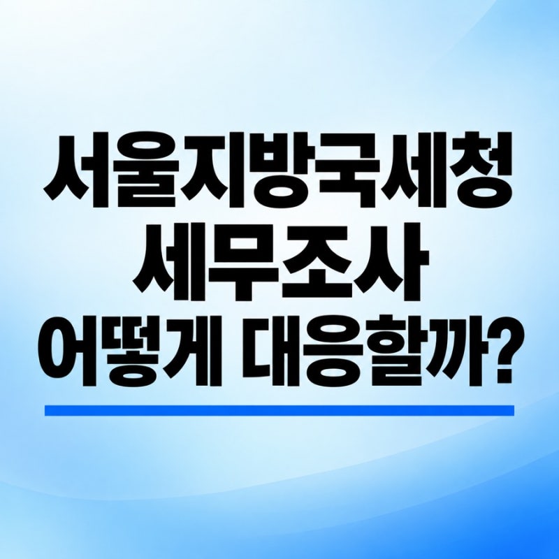서울지방국세청 세무조사 대응방법 - 세무조사 전문 세무사