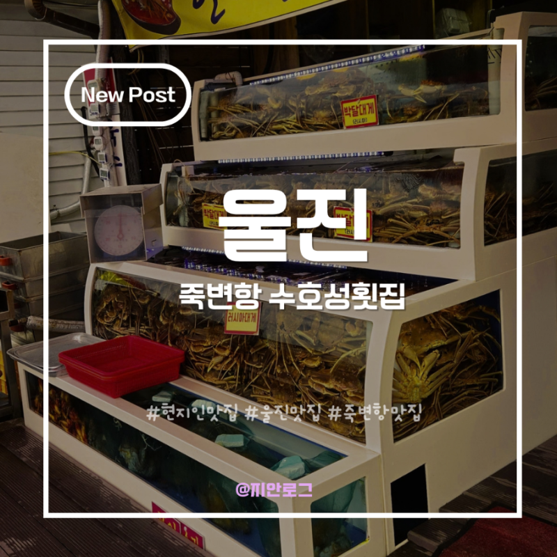 울진 죽변항 맛집 수호성횟집 모둠회와 얼큰한 매운탕