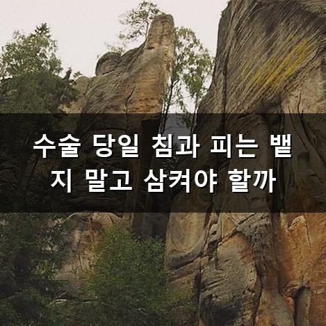 임플란트 하고 나서 피가 계속 나면 어떻게 해야 할까요 대처 방법과 주의할 점