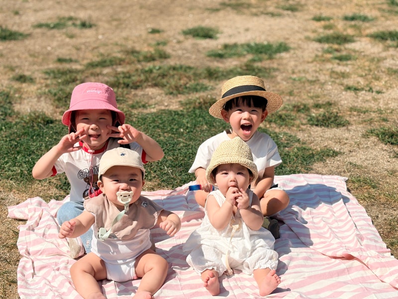 용인 농도원목장 예약 성공 꿀팁부터 가격, 도시락, 유모차, 식당 정보 총정리!