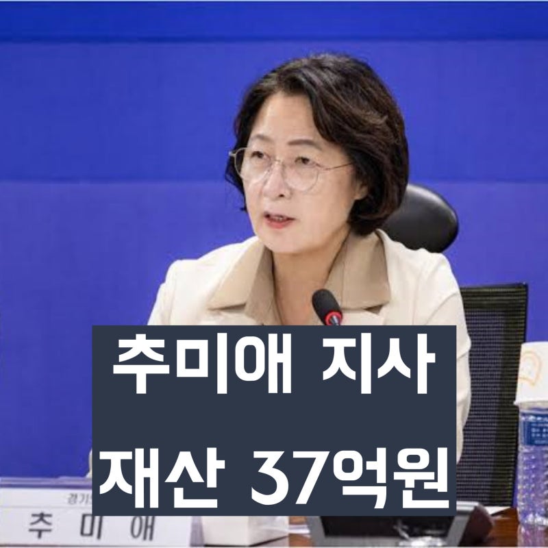 '경기도지사' 추미애 재산 공개 36억원 '6개월 사이 8억 7천 늘었다'