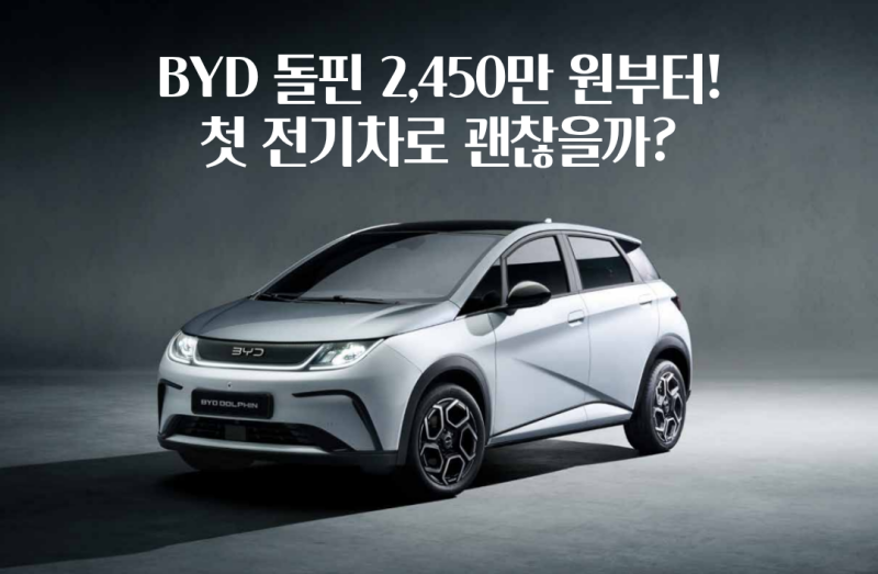 BYD 돌핀 2,450만 원부터! 첫 전기차로 괜찮을까?
