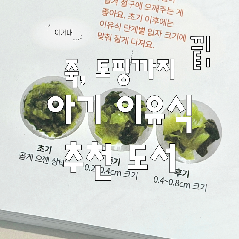 아기 이유식 책 추천 | 두유제조기·찜기로 토핑 이유식하며 참고한 책