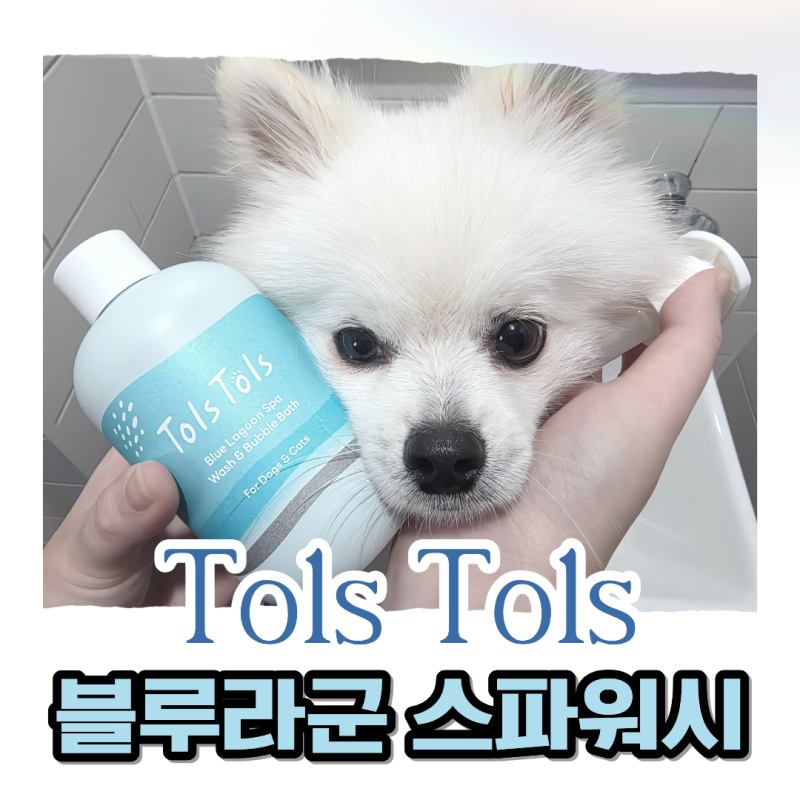 반려견 목욕 스트레스 없는 천연샴푸! 톨스톨스 올인원 애견샴푸 추천