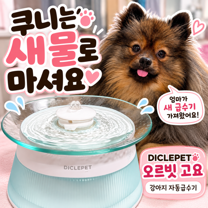 강아지 자동급수기 디클펫, 정수 오수 분리되는 반려동물급수기 후기