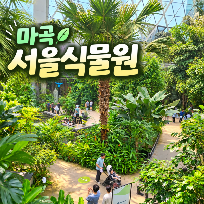 서울식물원 가을 나들이, 주차 꿀팁과 입장료 할인 대상 정리