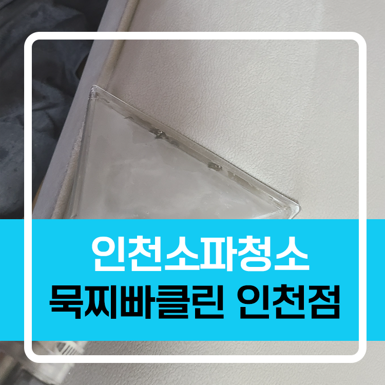 인천 소파청소, 에싸 쇼파 깔끔하게 방문케어 잘해주는곳은?