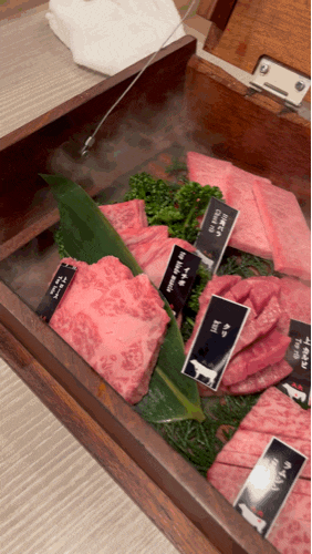 오사카 야끼니꾸 맛집 야키니쿠 하치로쿠 잇토큐 와규 6종 모둠구이
