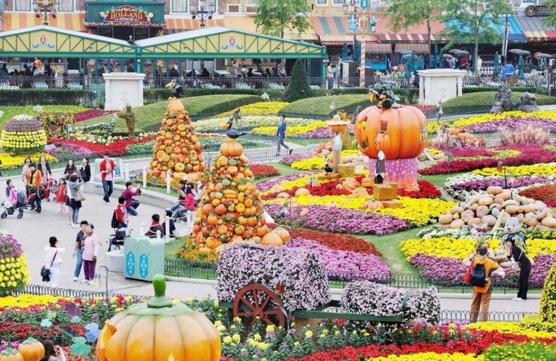 [Urgent] Everland Prices Rising Again! Comprehensive Guide to Increased Full-Day and Annual Pass Fees from October