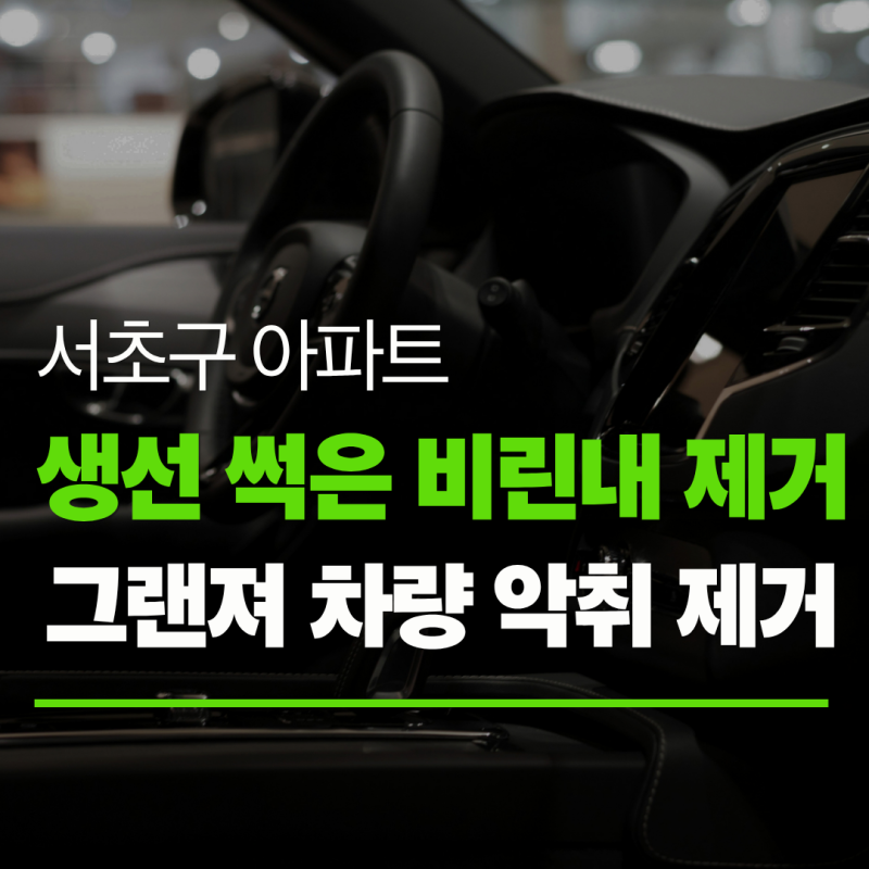 3일간 방치된 생선 썩은 차량 악취 냄새 한 번의 시공으로 제거한 사례