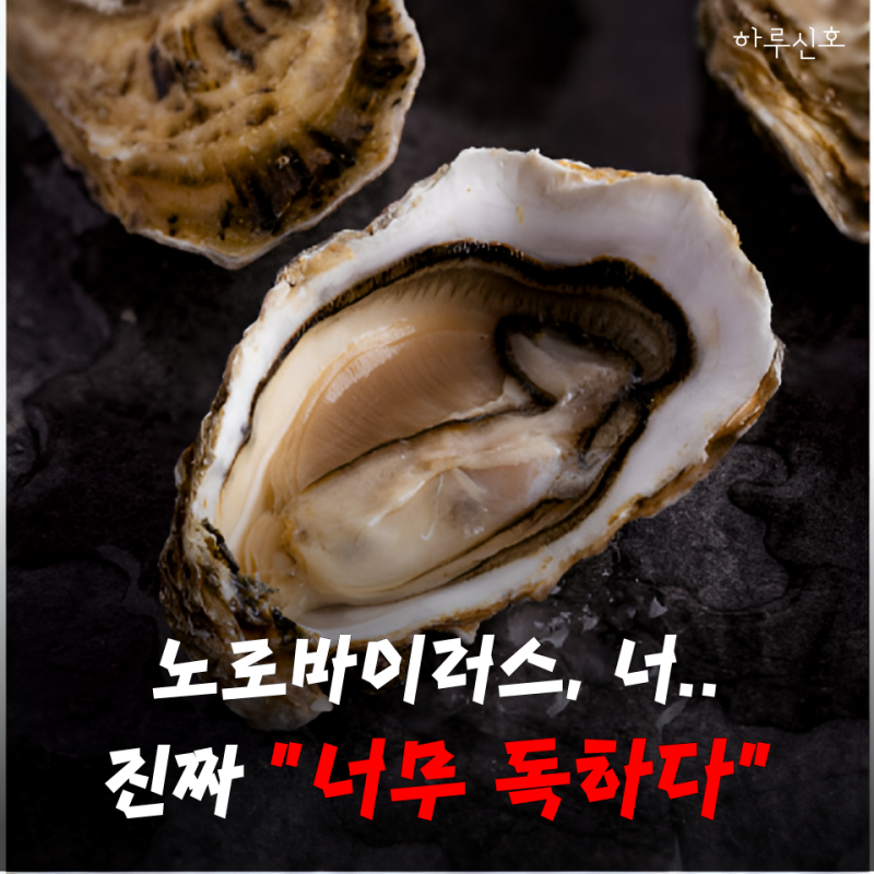 "설사에 몸살까지 대환장 파티" 직접 걸려본 노로바이러스 증상, 진짜 이랬습니다
