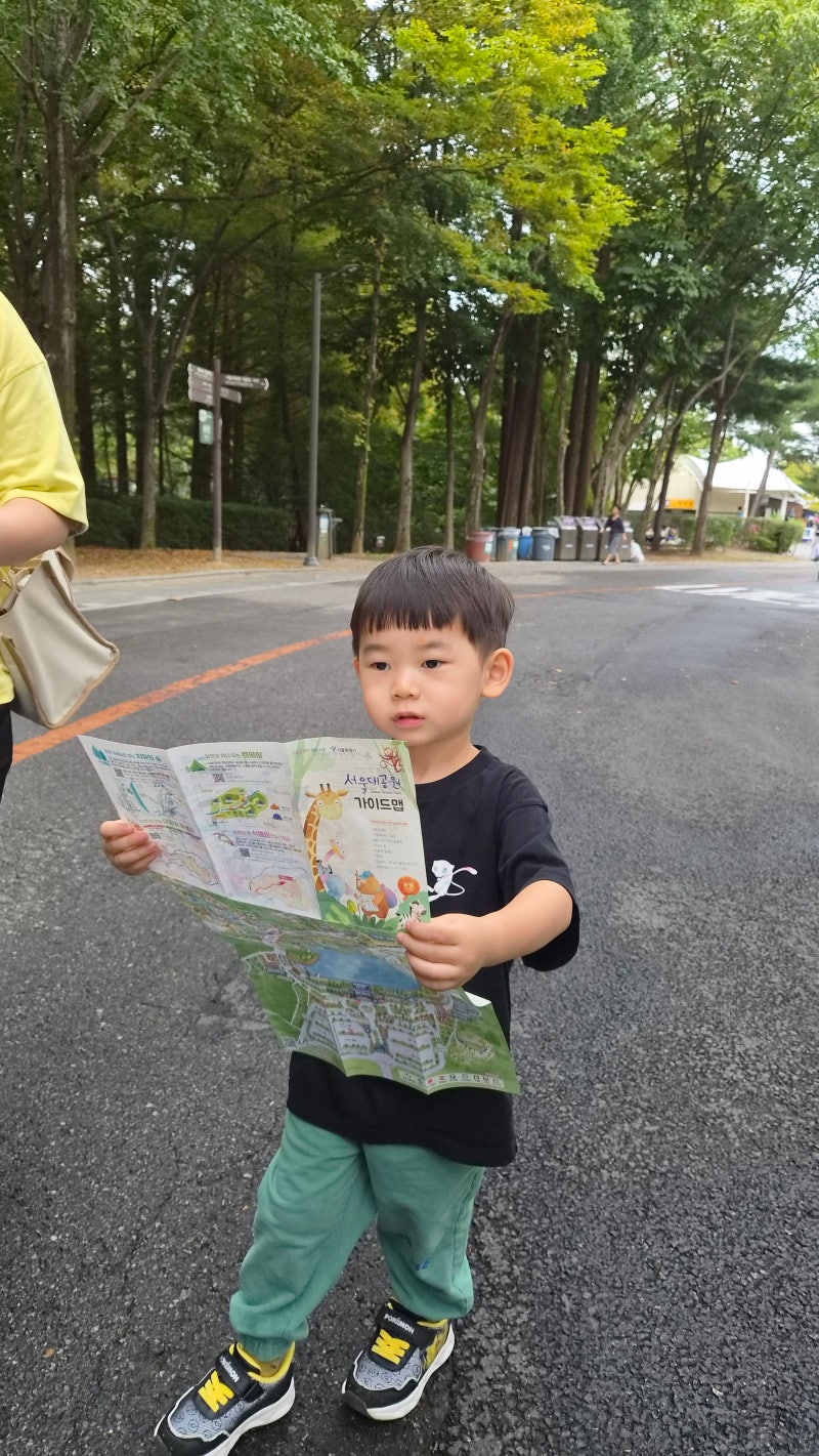 두 아들과 다녀온 서울대공원 동물원 가을나들이 후기 (다자녀 무료·코끼리열차·동선 꿀팁)
