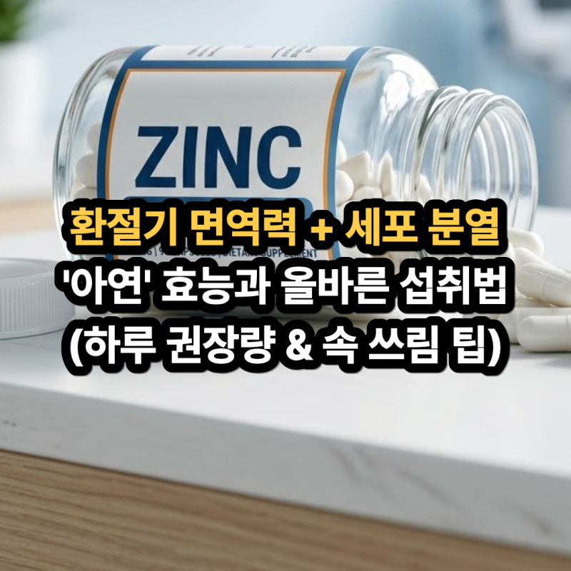 아연의 효능과 부작용! 면역력부터 세포 분열, 하루 권장량과 올바른 복용시간까지