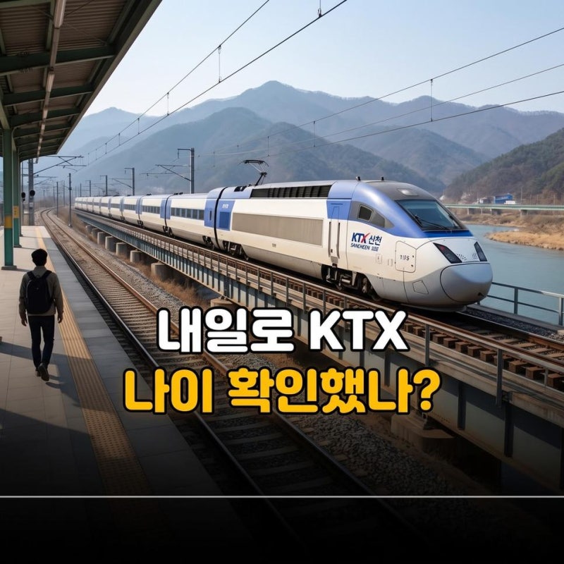 내일로패스 3일권 7일권 KTX 예매방법과 코레일 나이 제한 확인하기