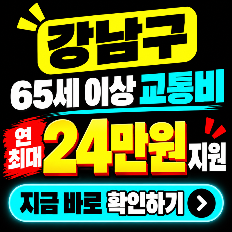 65세 이상 연 최대 24만원, 강남구 노인 교통비 지원 신청하세요