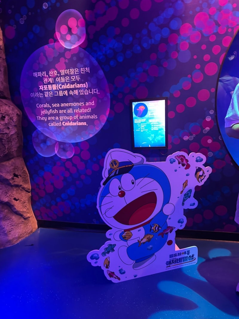 코엑스 아쿠아리움 아이와 가볼만한곳, 주차부터 인어공주 공연까지