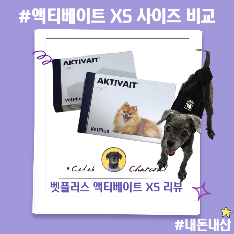 강아지 노견 치매예방 액티베이트 XS S 사이즈 비교 (xs 사이즈 정품 맞음) 내돈내산