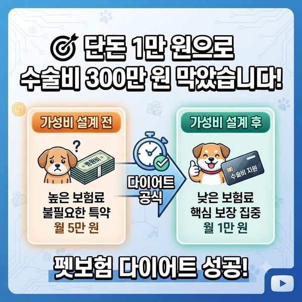단돈 1만 원으로 수술비 300만 원 막았습니다! 가성비 펫보험 다이어트 설계 공식