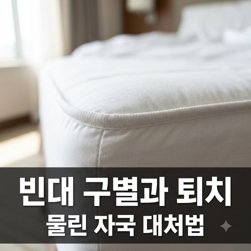 빈대 물린 자국 특징과 퇴치법 및 호텔 숙소 확인 총정리