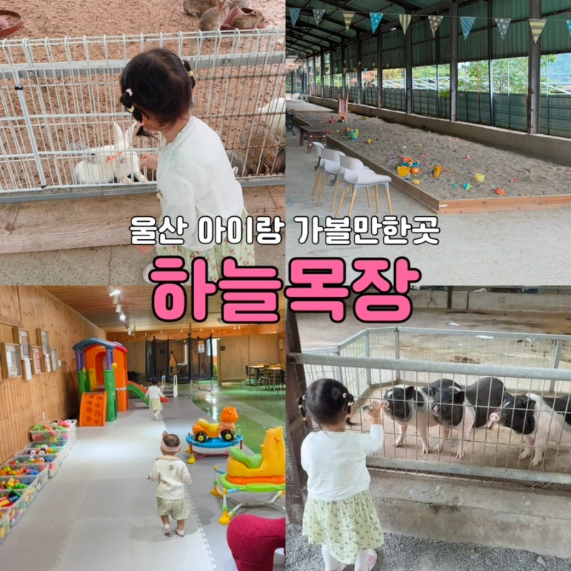 울산 아이랑 가볼만한 곳｜울산하늘목장 아이 생일 여행으로 다녀온 후기