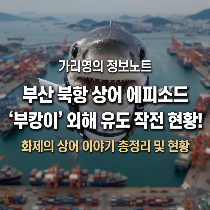 '부캉이' 외해 유도 작전 현황! 화제의 부산 북항 상어 에피소드 총정리! 이슈 완벽 분석