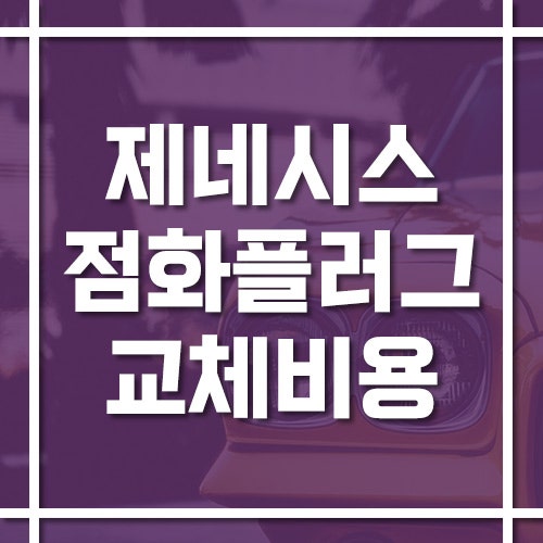 제네시스 점화플러그 교체 비용 및 교체 주기
