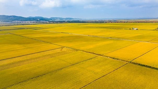 2026년 10월 전라도 가을축제 일정 총정리｜전북·전남·광주 가볼만한 곳