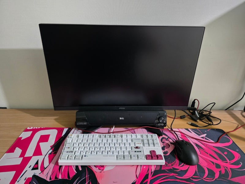 [구매후기] MSI 27인치모니터 MAG 272F800 X24 무결점 IPS FHD 240Hz 68cm