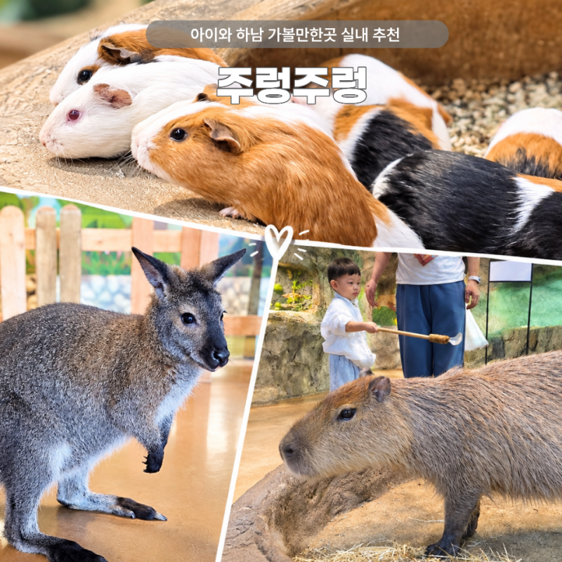 하남 가볼만한곳 추천 실내동물원 실내테마파크 23개월 아기와 방문 후기