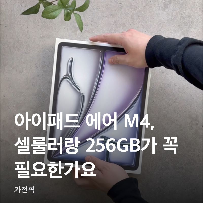 아이패드 에어 M4, 셀룰러랑 256GB가 꼭 필요한가요?
