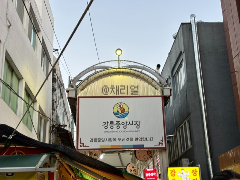 강릉 중앙시장 분위기, 직접 가보니 이런 곳이네