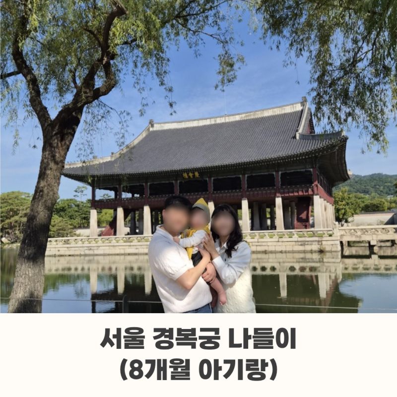 [D+242] 8개월 아기랑 서울 경복궁 나들이 | 유모차 코스